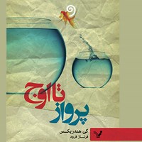 تصویر جلد کتاب صوتی پرواز تا اوج 