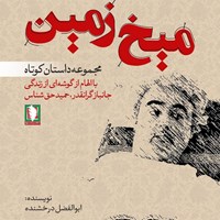 تصویر جلد کتاب صوتی میخ زمین