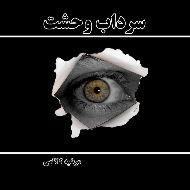 تصویر جلد کتاب صوتی سرداب وحشت