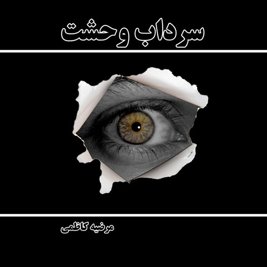 تصویر جلد کتاب صوتی سرداب وحشت