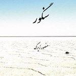 تصویر جلد کتاب صوتی سنگور