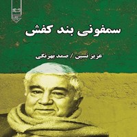 تصویر جلد کتاب صوتی سمفونی بند کفش