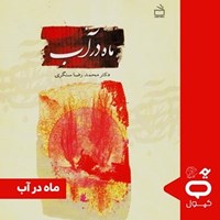 تصویر جلد کتاب صوتی کپسول ماه در آب
