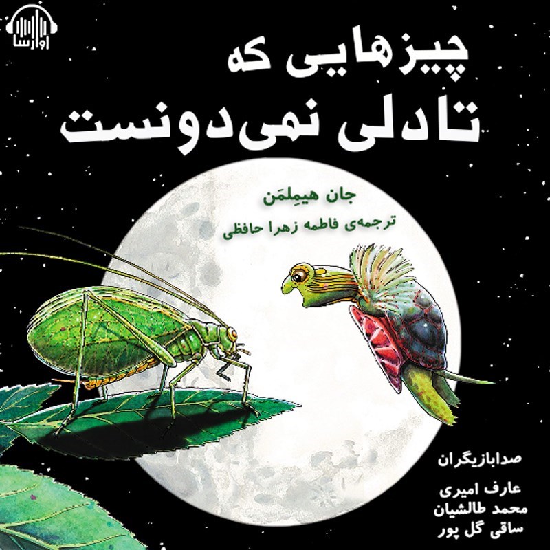تصویر جلد کتاب صوتی چیزهایی که تادلی نمی دونست