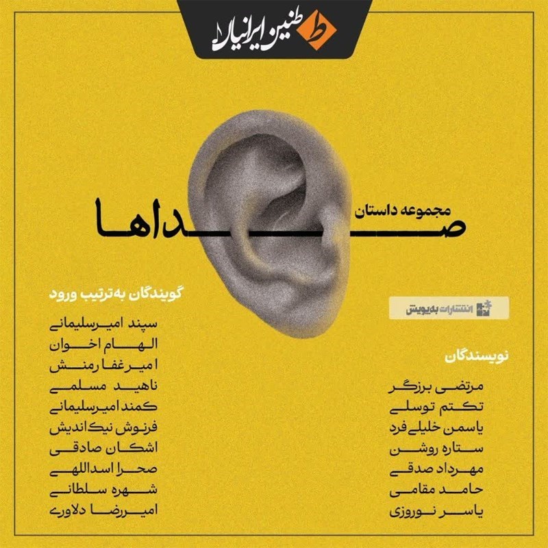 تصویر جلد کتاب صوتی صداها