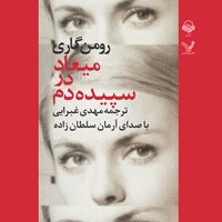 تصویر جلد کتاب صوتی میعاد در سپیده دم