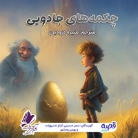 تصویر جلد کتاب صوتی چکمه های جادویی