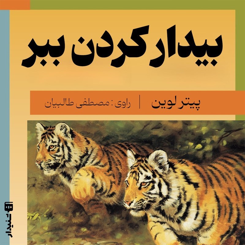 تصویر جلد کتاب صوتی بیدار کردن ببر (خلاصه کتاب)