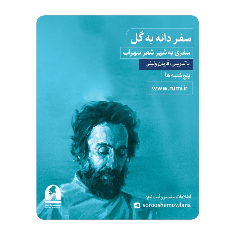 تصویر جلد کتاب صوتی سفر دانه به گل (سفری به شهر شعر سهراب)