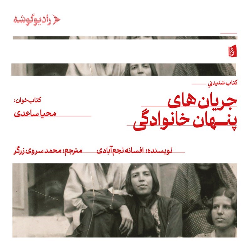 تصویر جلد کتاب صوتی جریان های پنهان خانوادگی