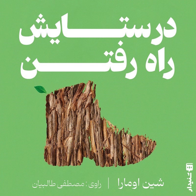 تصویر جلد کتاب صوتی در ستایش راه رفتن (خلاصه کتاب)
