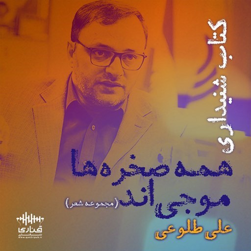 تصویر جلد کتاب صوتی همه صخره ها موجی اند