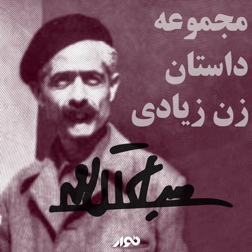 تصویر جلد کتاب صوتی مجموعه داستان زن زیادی