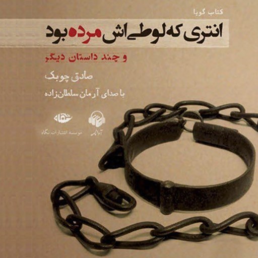 تصویر جلد کتاب صوتی انتری که لوطی اش مرده بود