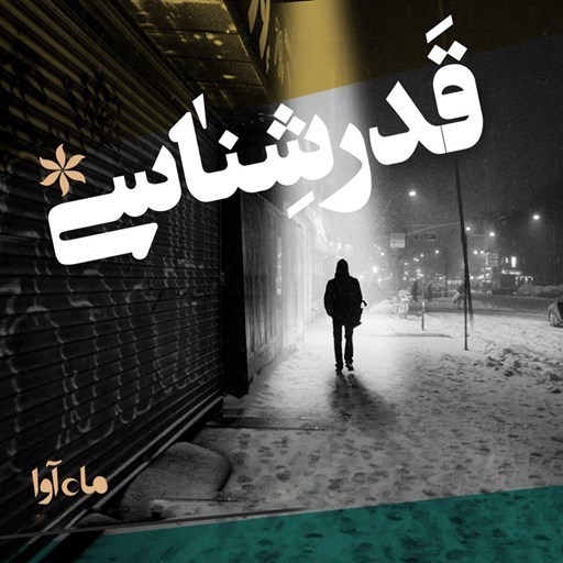تصویر جلد کتاب صوتی قدرشناسی