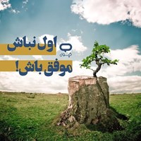 تصویر جلد کتاب صوتی کپسول اول نباش، موفق باش !