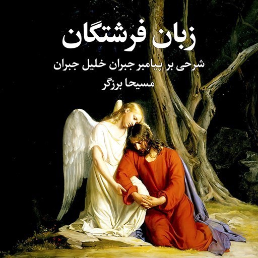 تصویر جلد کتاب صوتی  زبان فرشتگان 