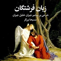 تصویر جلد کتاب صوتی زبان فرشتگان