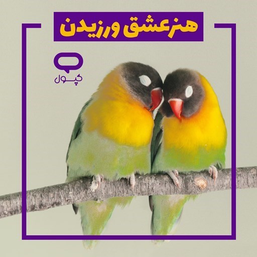 تصویر جلد کتاب صوتی کپسول هنر عشق ورزیدن