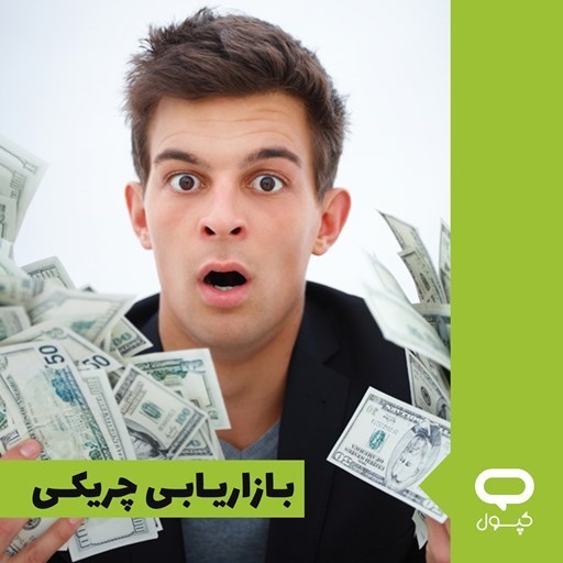 تصویر جلد کتاب صوتی کپسول بازاریابی چریکی