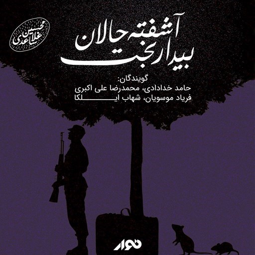 تصویر جلد کتاب صوتی آشفته حالان بیداربخت