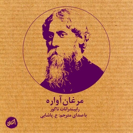 تصویر جلد کتاب صوتی مرغان آواره