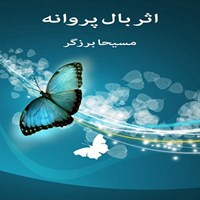 تصویر جلد کتاب صوتی اثر بال پروانه