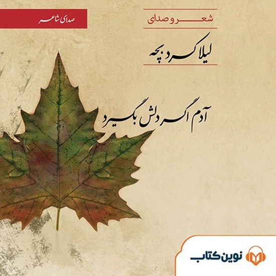 تصویر جلد کتاب صوتی آدم اگر دلش بگیرد