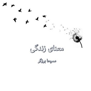 تصویر جلد کتاب صوتی معنای زندگی