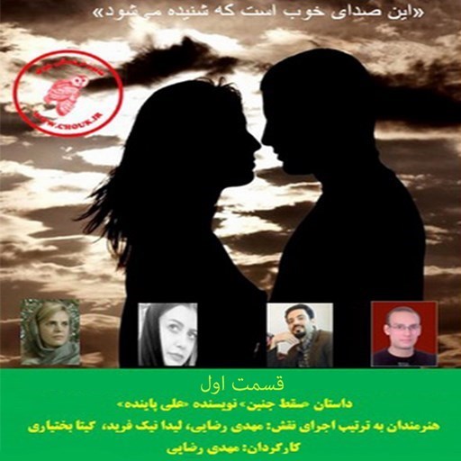 تصویر جلد کتاب صوتی سقط جنین (قسمت اول)
