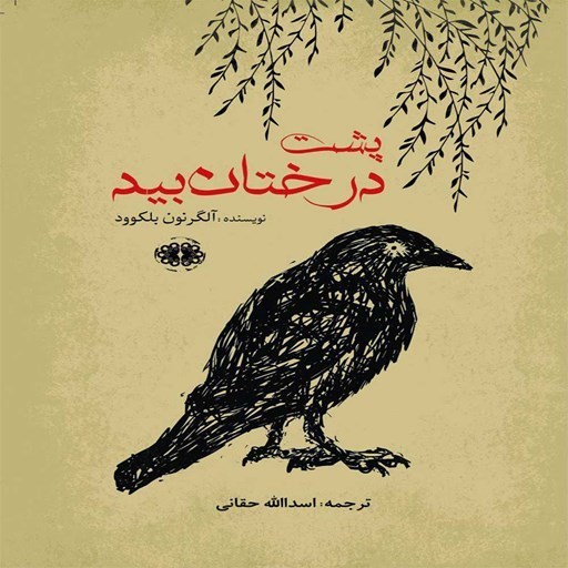 تصویر جلد کتاب صوتی پشت درختان بید