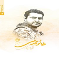 تصویر جلد کتاب صوتی طائر قدسی؛ شهید امین کریمی (مدافعان حرم ۱۳)