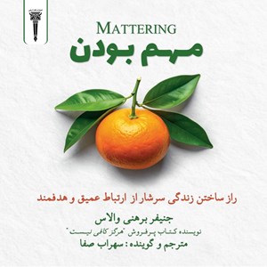 تصویر جلد کتاب صوتی مهم بودن