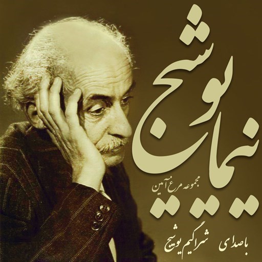 تصویر جلد کتاب صوتی مرغ آمین
