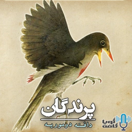 تصویر جلد کتاب صوتی پرندگان
