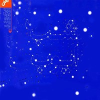 تصویر جلد کتاب صوتی شب ایوب