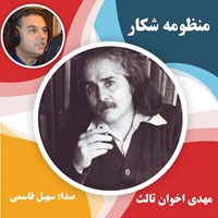 تصویر جلد کتاب صوتی منظومه شکار