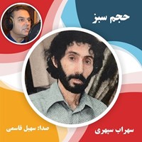 تصویر جلد کتاب صوتی حجم سبز