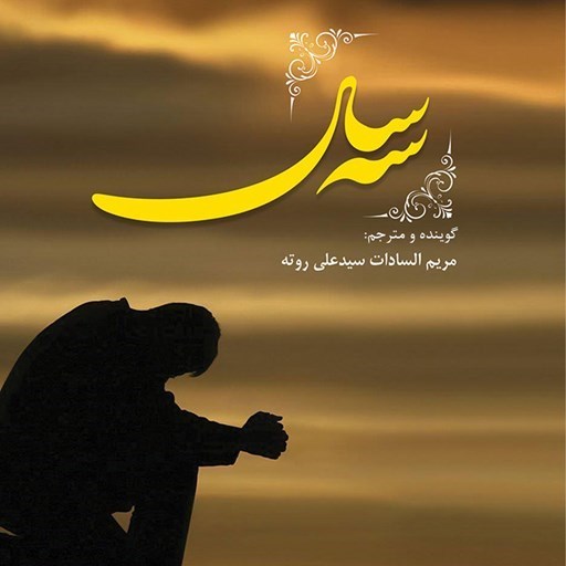 تصویر جلد کتاب صوتی سه سال