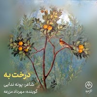 تصویر جلد کتاب صوتی درخت به