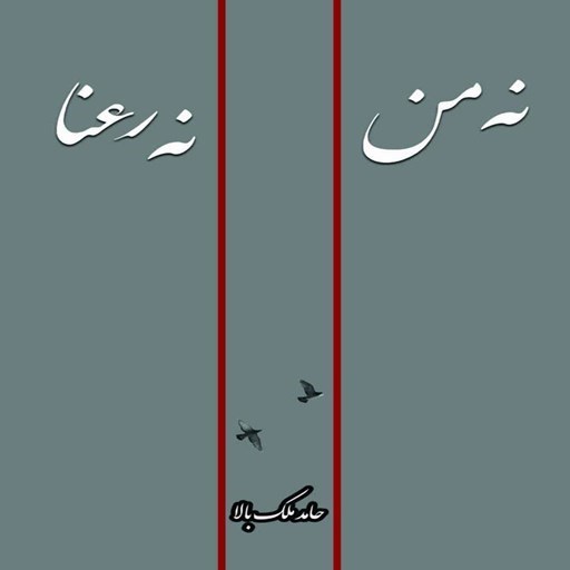 تصویر جلد کتاب صوتی نه من نه رعنا