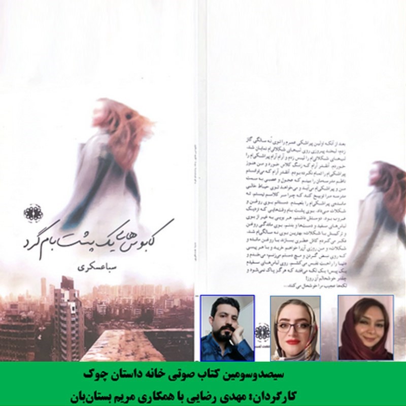 تصویر جلد کتاب صوتی کابوس های یک پشت بام گرد