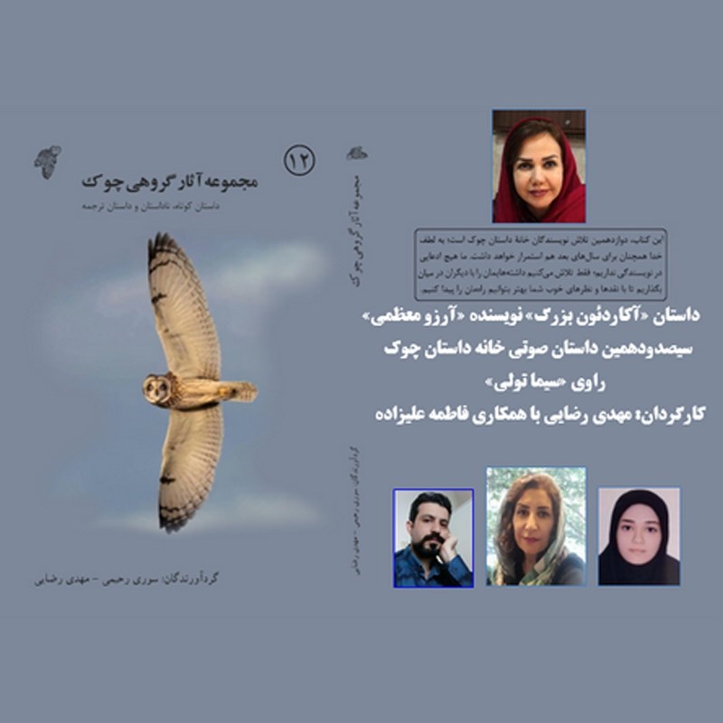 تصویر جلد کتاب صوتی آکاردئون بزرگ