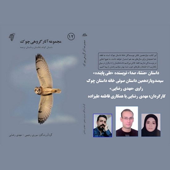 تصویر جلد کتاب صوتی منشاء صدا