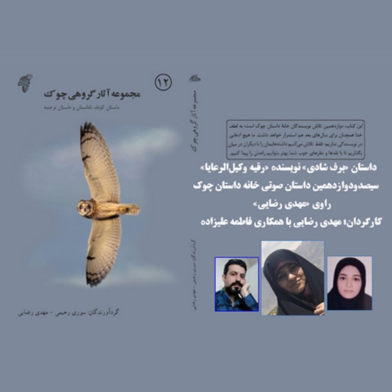 تصویر جلد کتاب صوتی برف شادی