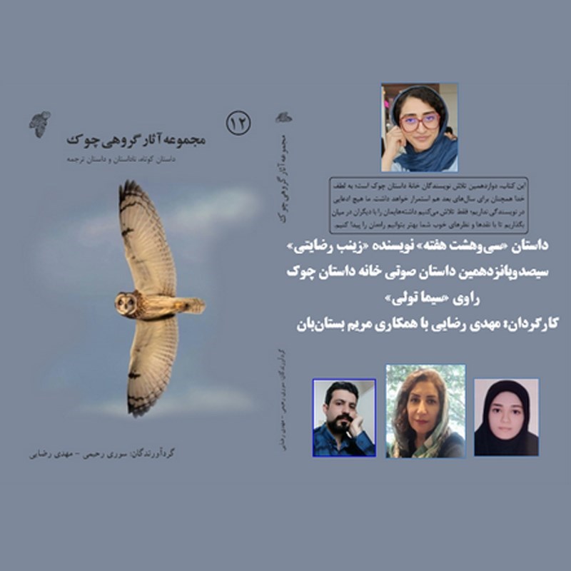 تصویر جلد کتاب صوتی سی و هشت هفته