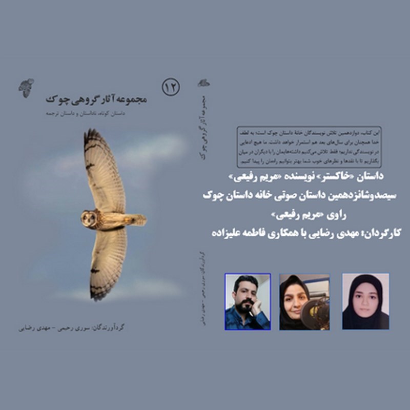 تصویر جلد کتاب صوتی خاکستر