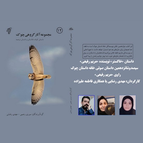 تصویر جلد کتاب صوتی خاکستر