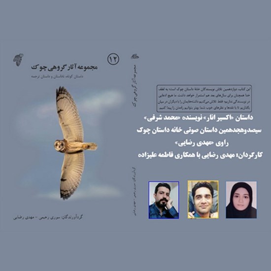 تصویر جلد کتاب صوتی اکسیر انار