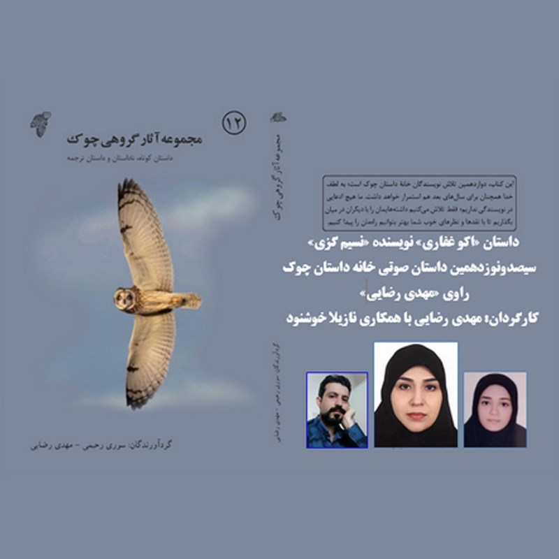 تصویر جلد کتاب صوتی چرخ و فلک